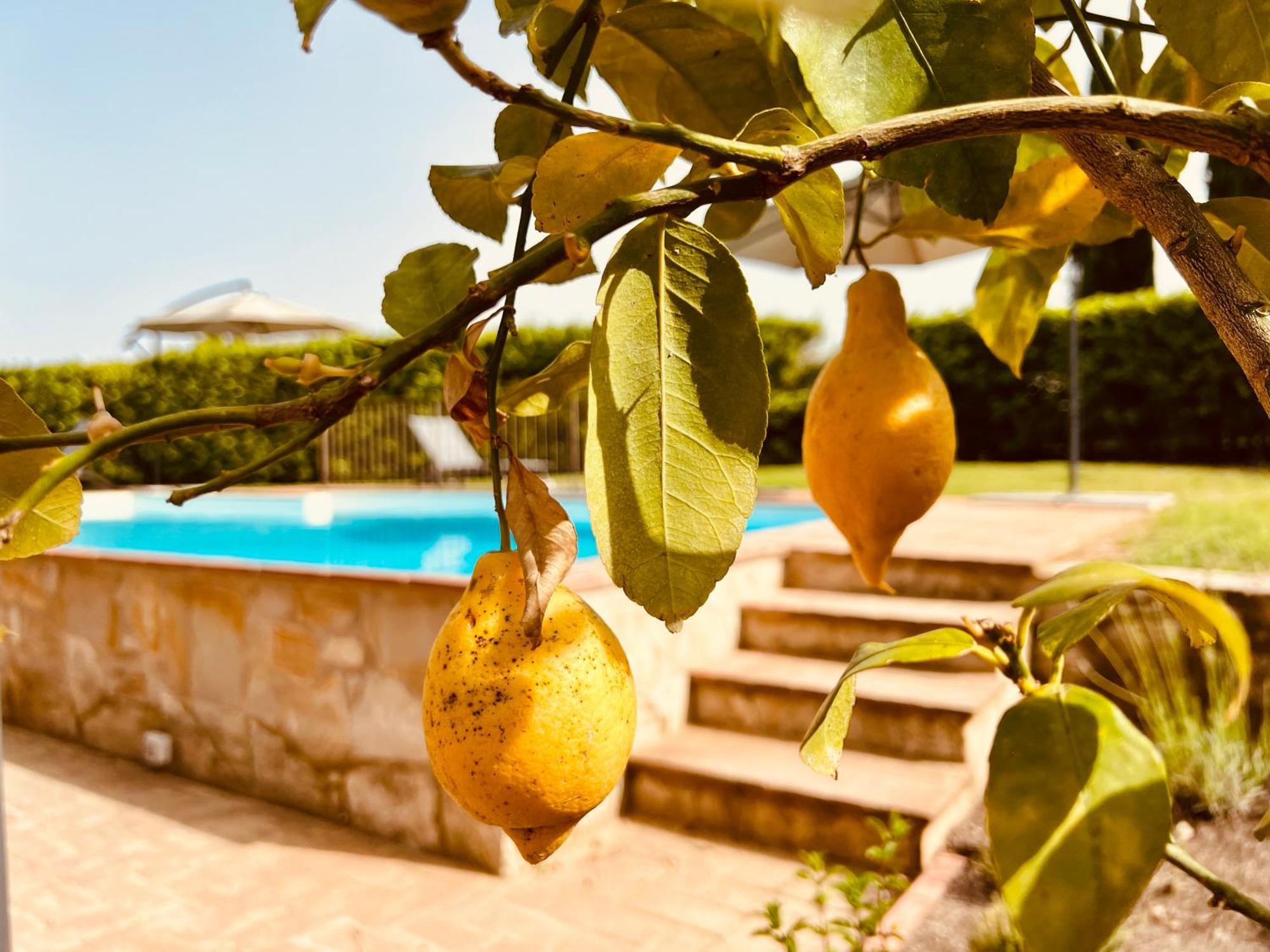 San Sano Libertas Tuscan Hideaway מראה חיצוני תמונה